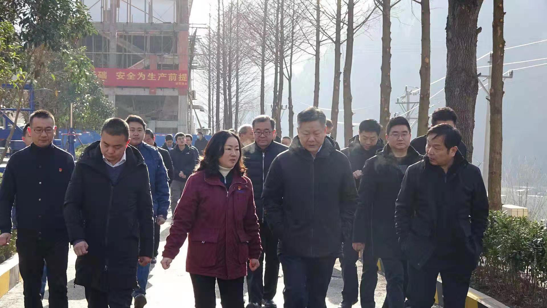 副市长陆克华率队赴渝东水务城环公司调研