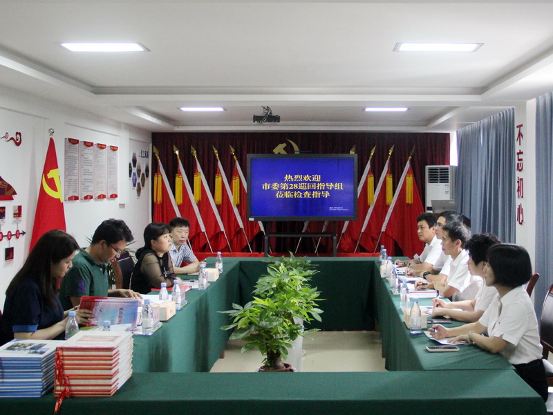 市委党史学习教育第28巡回指导组到重庆水务集团基层党支部开展检查指导