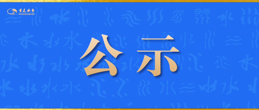 重庆水务集团公用工程咨询有限公司市场化选聘职业经理人结果的公示