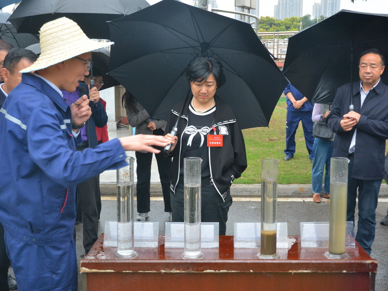渝中区人大石油路代表组赴永川排水公司调研