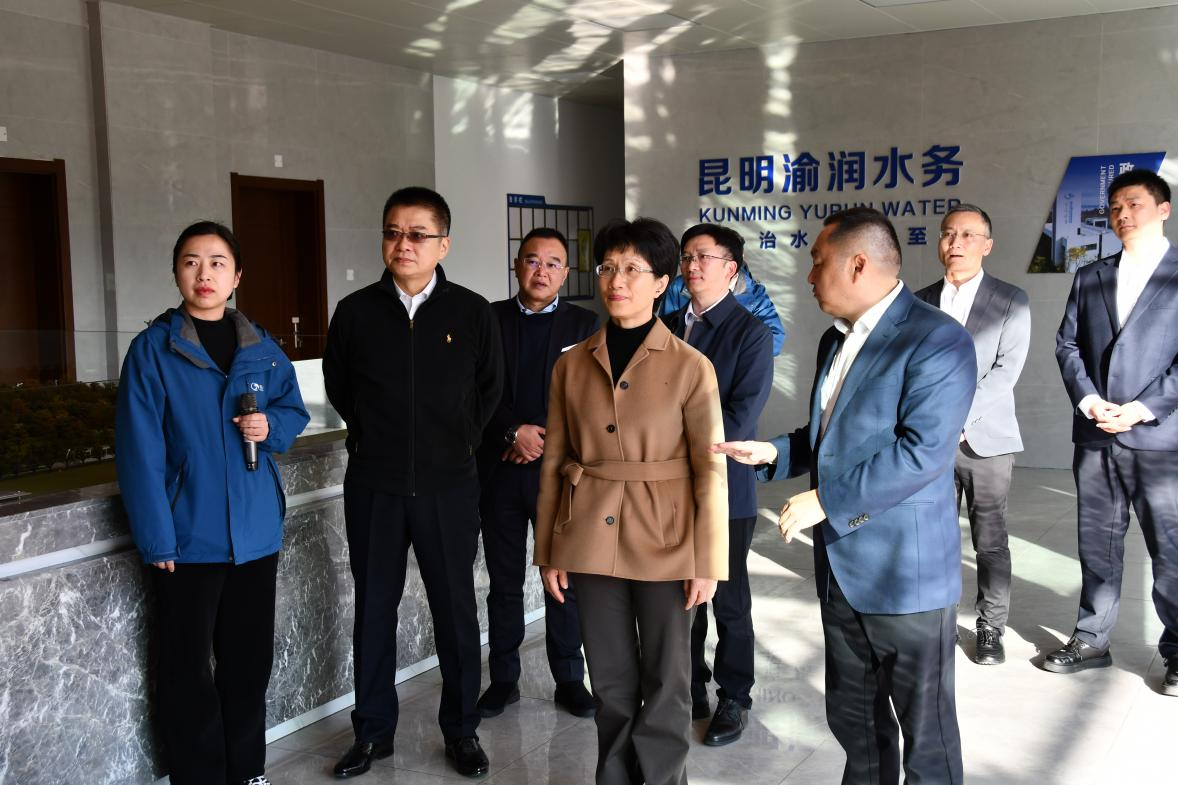 重庆市政协党组成员、副主席、市红十字会会长谭家玲赴渝润水务调研