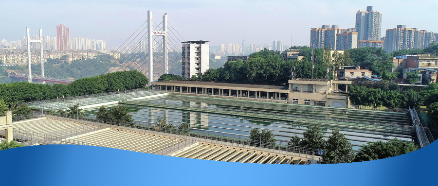 重庆水务集团股份有限公司召开2024年度业绩说明会