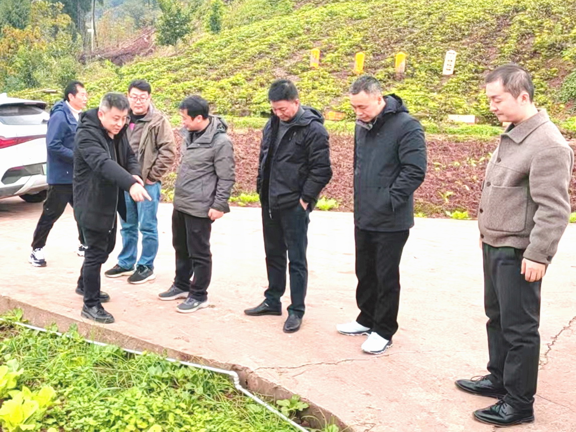  市区水利部门督导渝北区石船镇农村片区自来水扩网工程项目